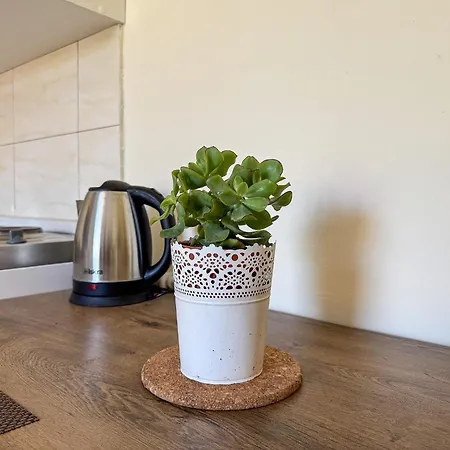 Pralas Apartman Mokošica