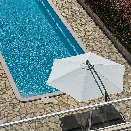 Pralas * Mokošica